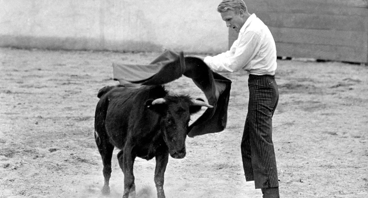 Bullfighter and the Lady