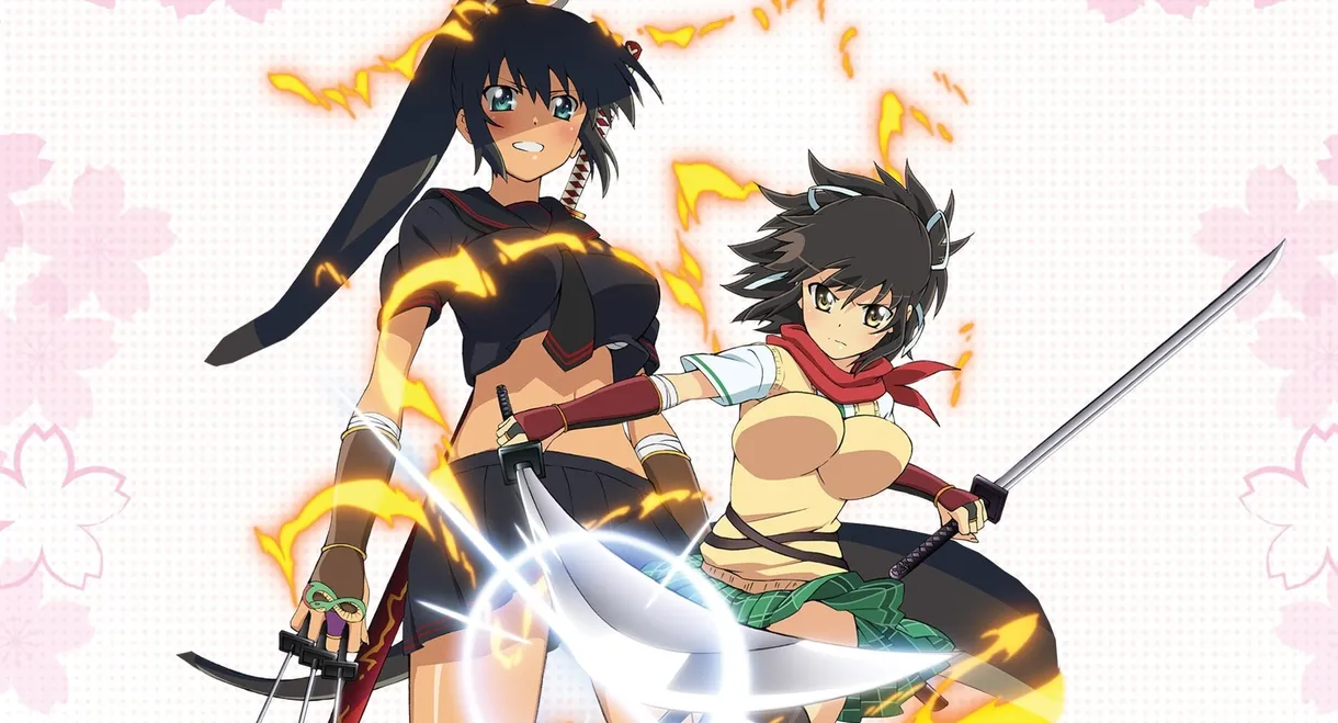 Senran Kagura: Ninja Flash