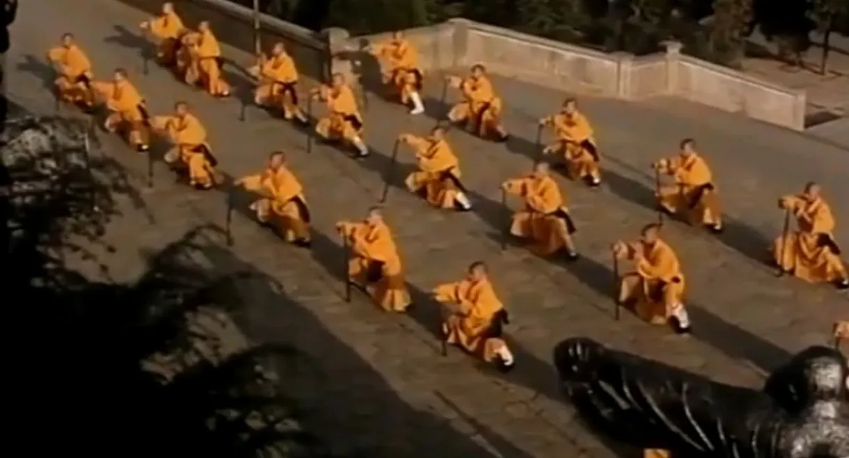 Shaolin Kung Fu