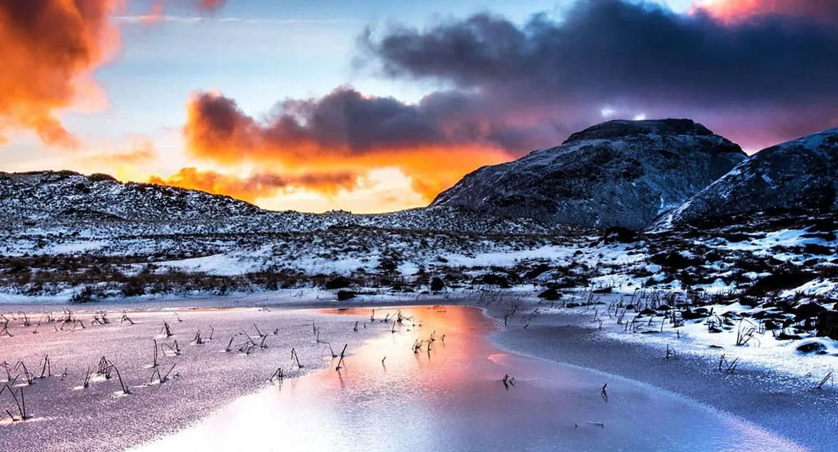 The Lake District: A Wild Year