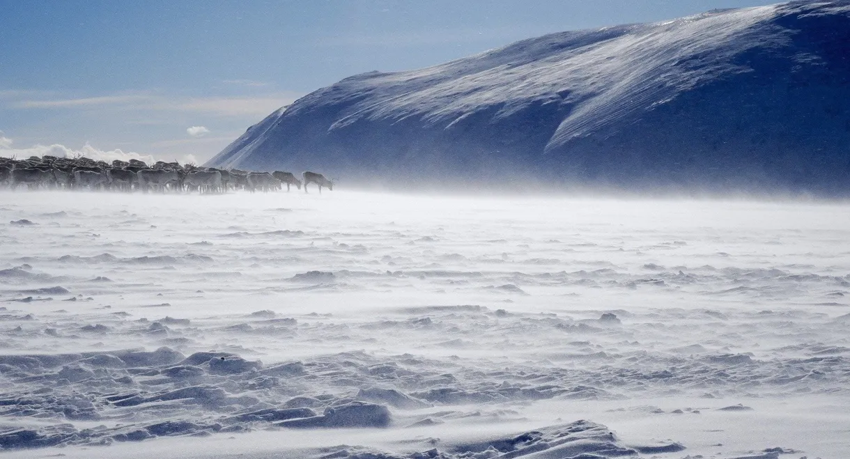 Terres sauvages du Grand Nord