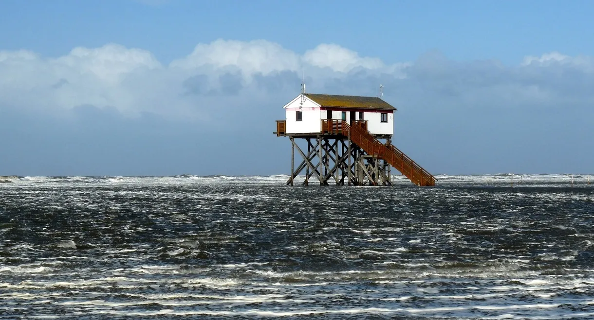 Die Nordsee von oben