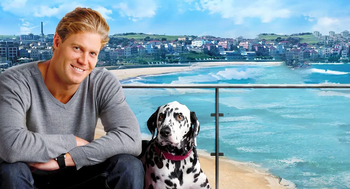 Bondi Vet