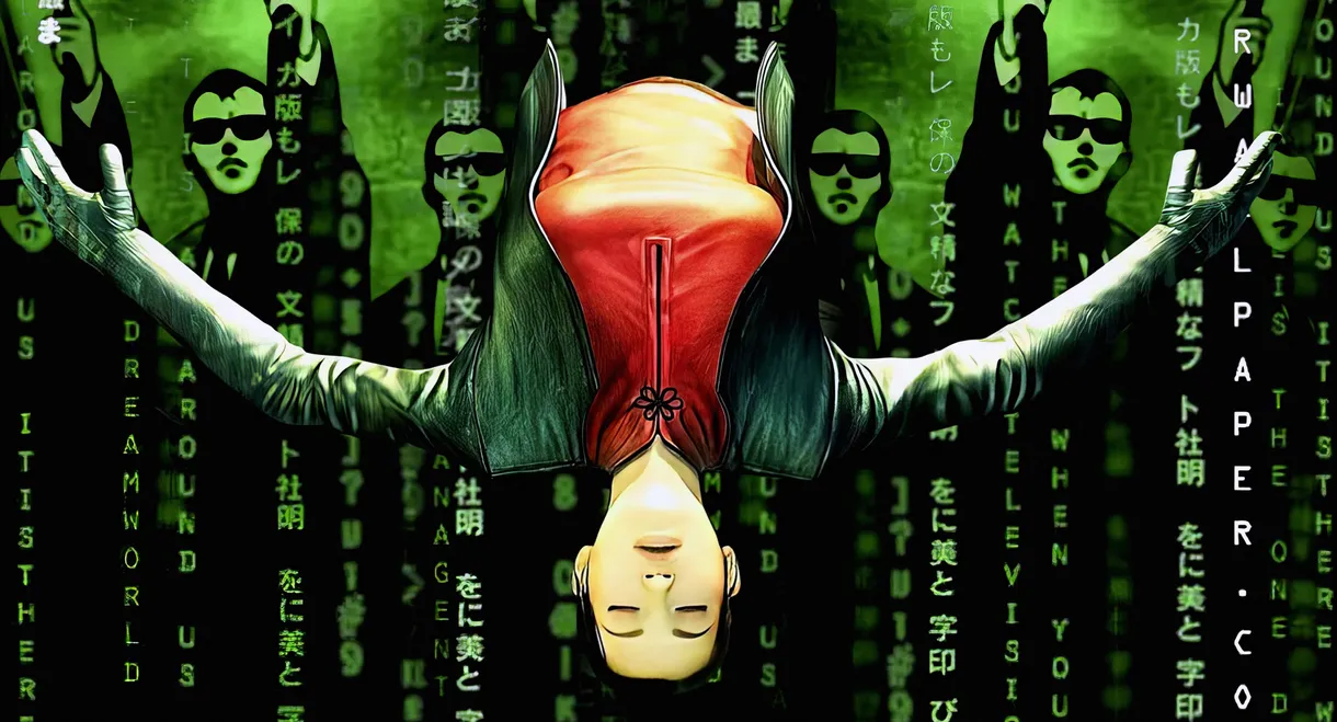 The Animatrix