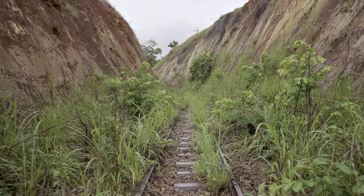 Congo-Océan, un chemin de fer et de sang