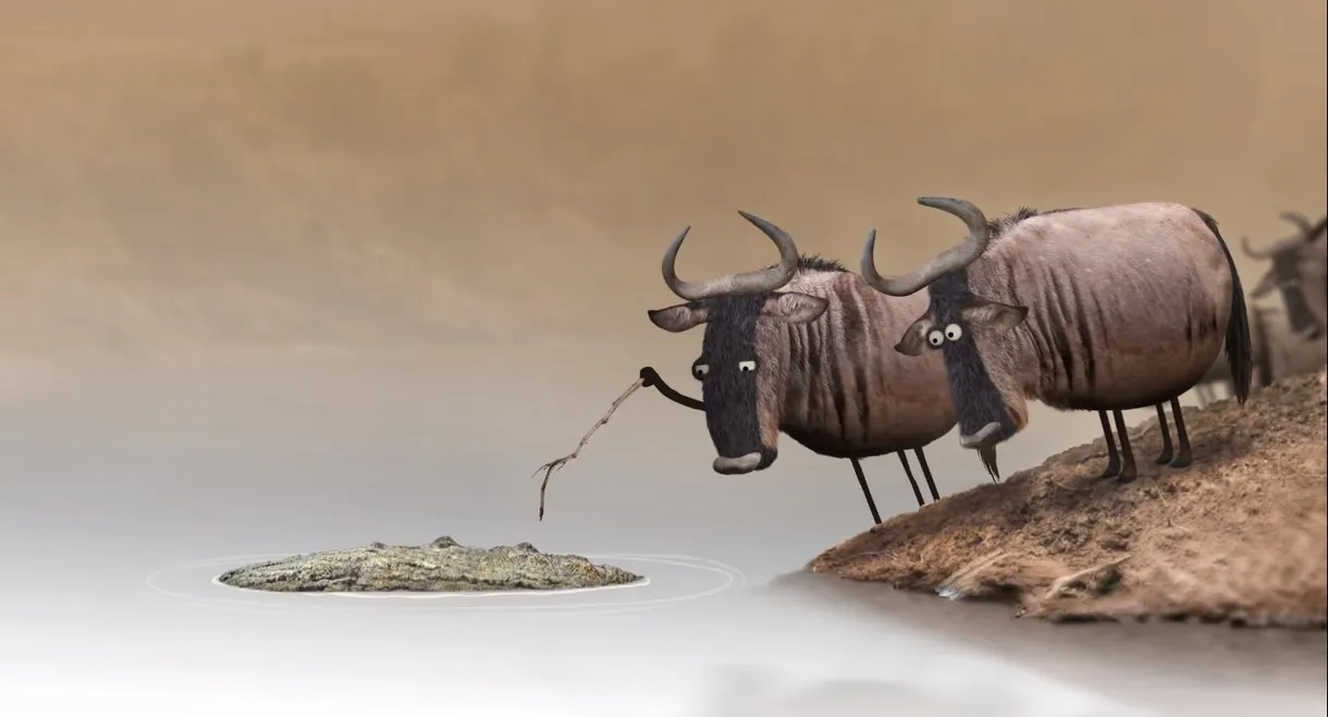 Wildebeest