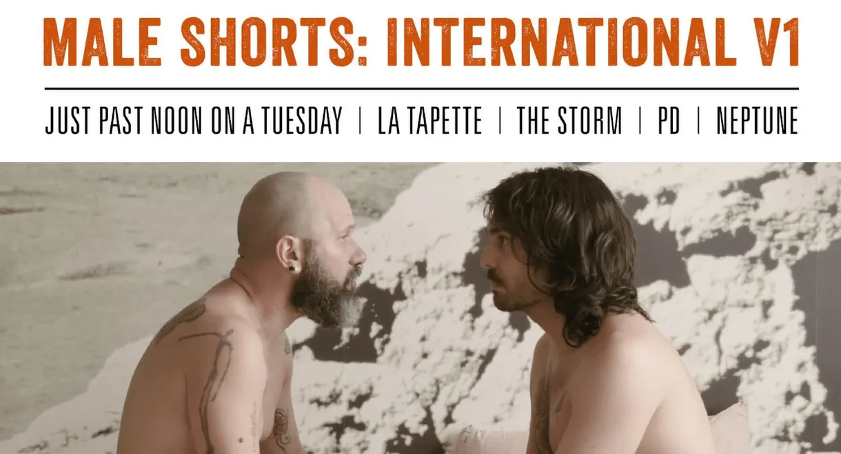 Male Shorts: International V1