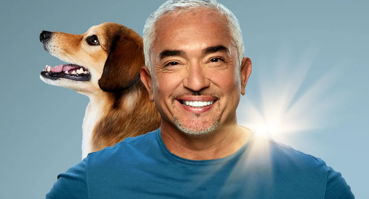 Cesar Millan: Better Human, Better Dog