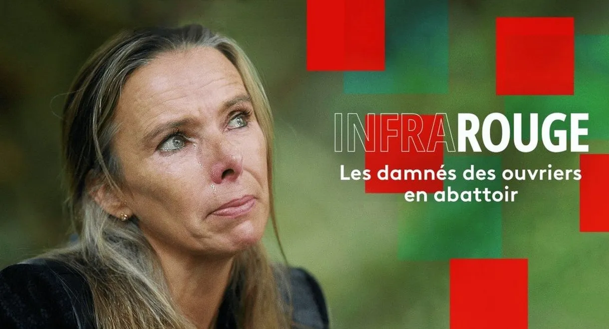 Les damnés des ouvriers en abattoir