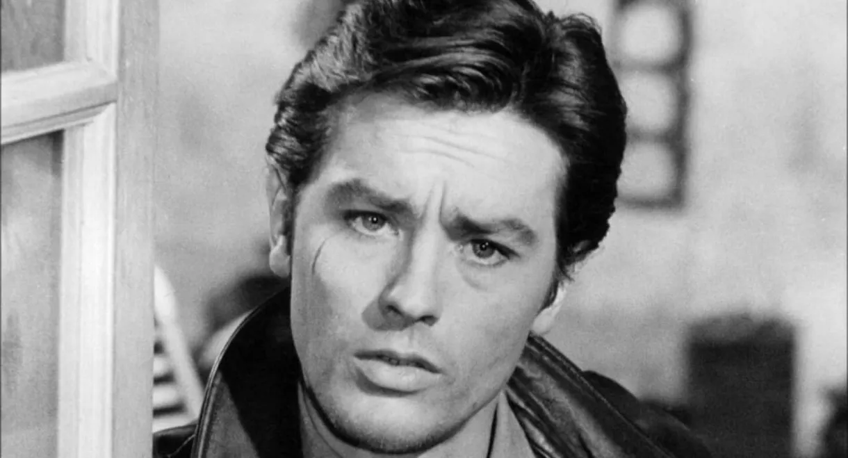 Alain Delon, l'ombre au tableau