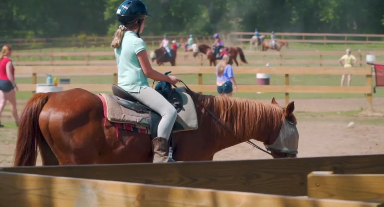 Horse Camp: A Love Tail