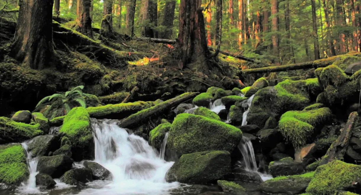 BluScenes: Majestic Waterfalls