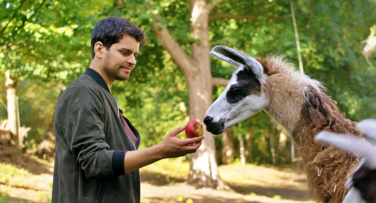 Schlechte Helden oder ein Lama namens Beethoven