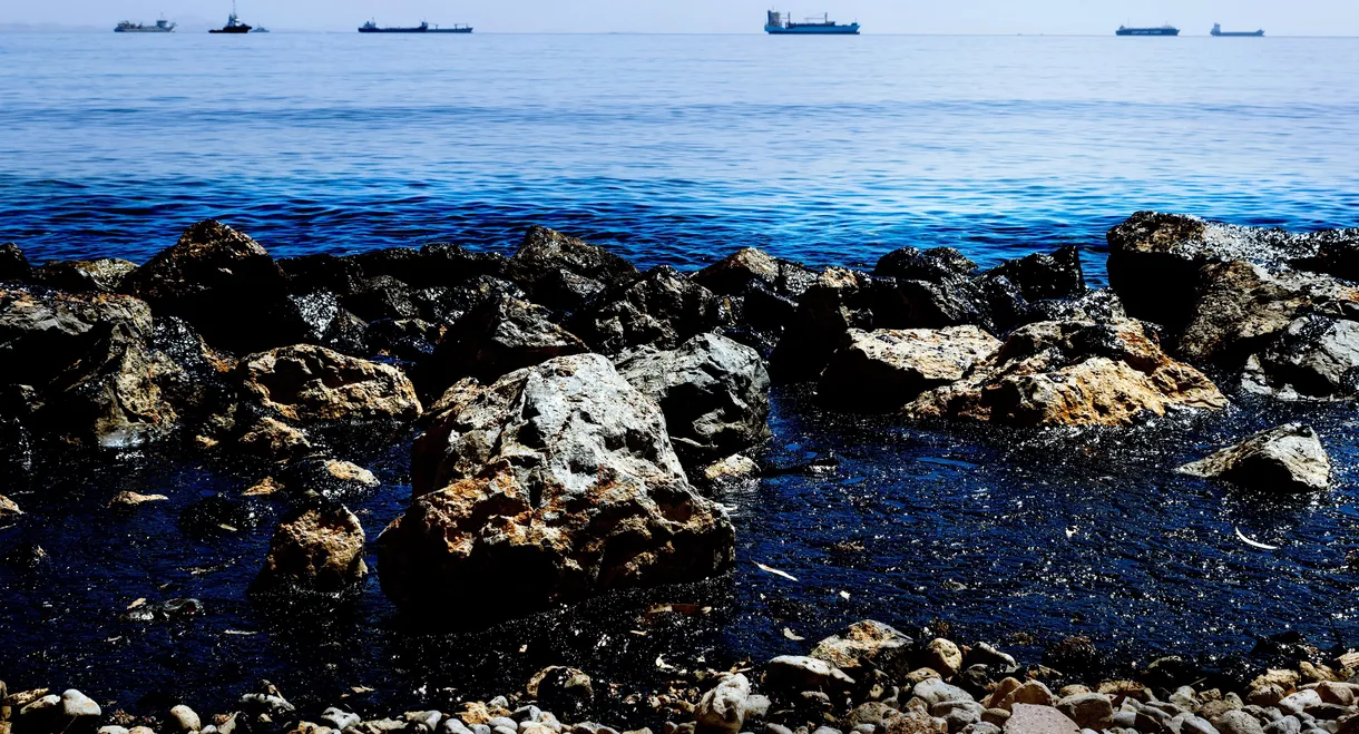 Oil Spill of The Century