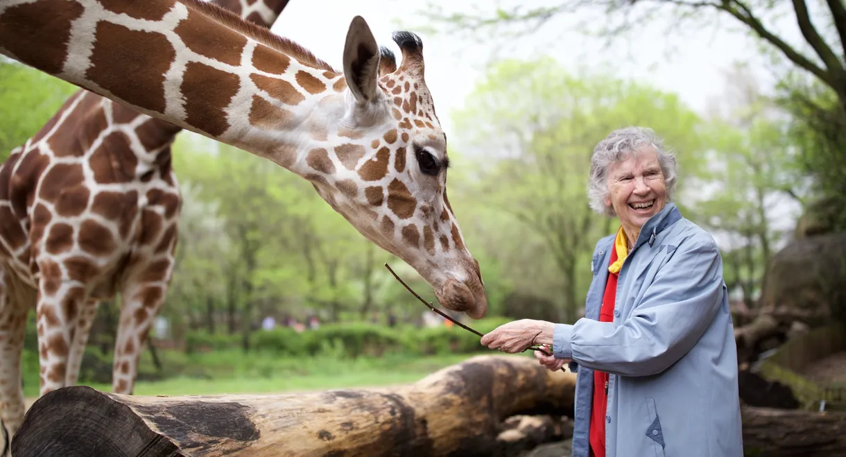 The Woman Who Loves Giraffes