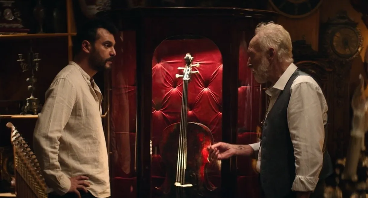 The Cello
