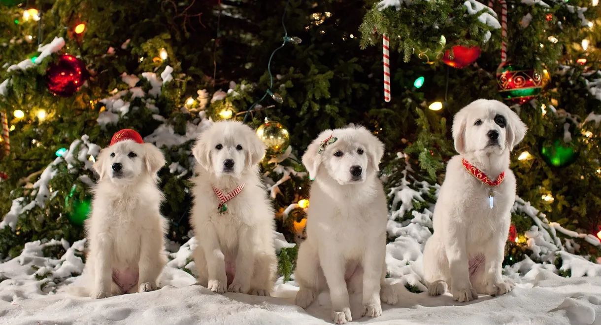 Santa Paws 2: The Santa Pups