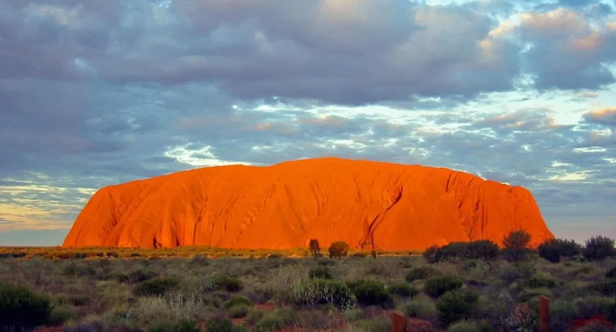 Nature of Australia: A Portrait of the Island Continent