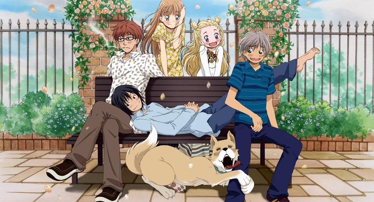 Honey and Clover