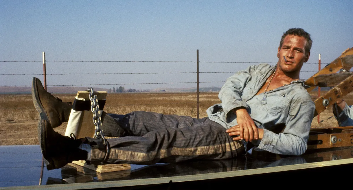 Cool Hand Luke