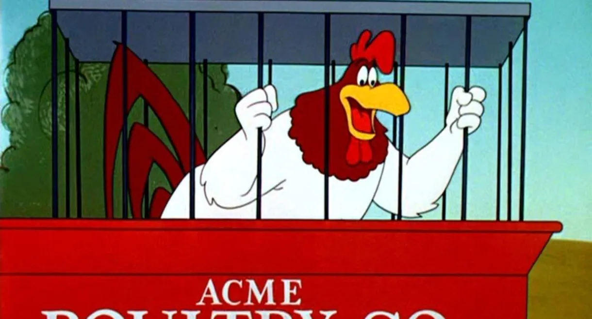 A Broken Leghorn