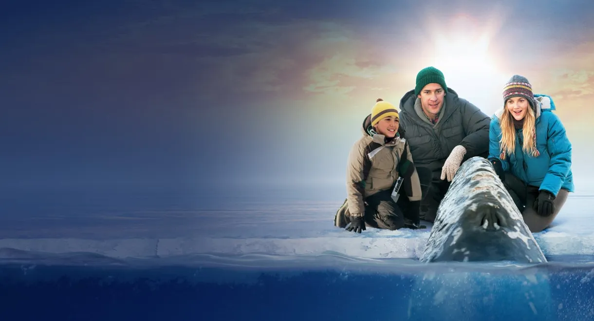 Big Miracle