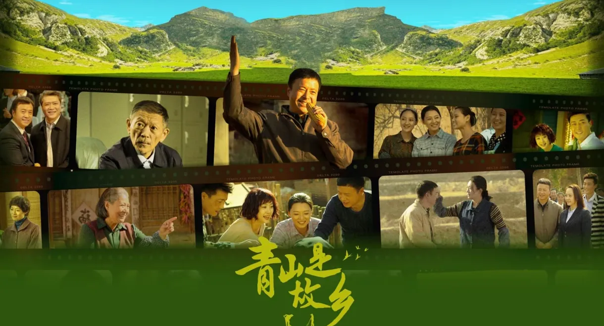 青山是故乡