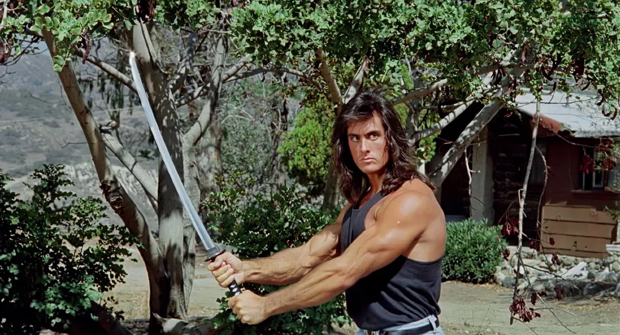 Samurai Cop