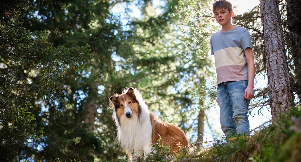 Lassie: A New Adventure