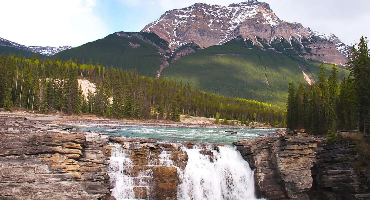 Wild Rockies