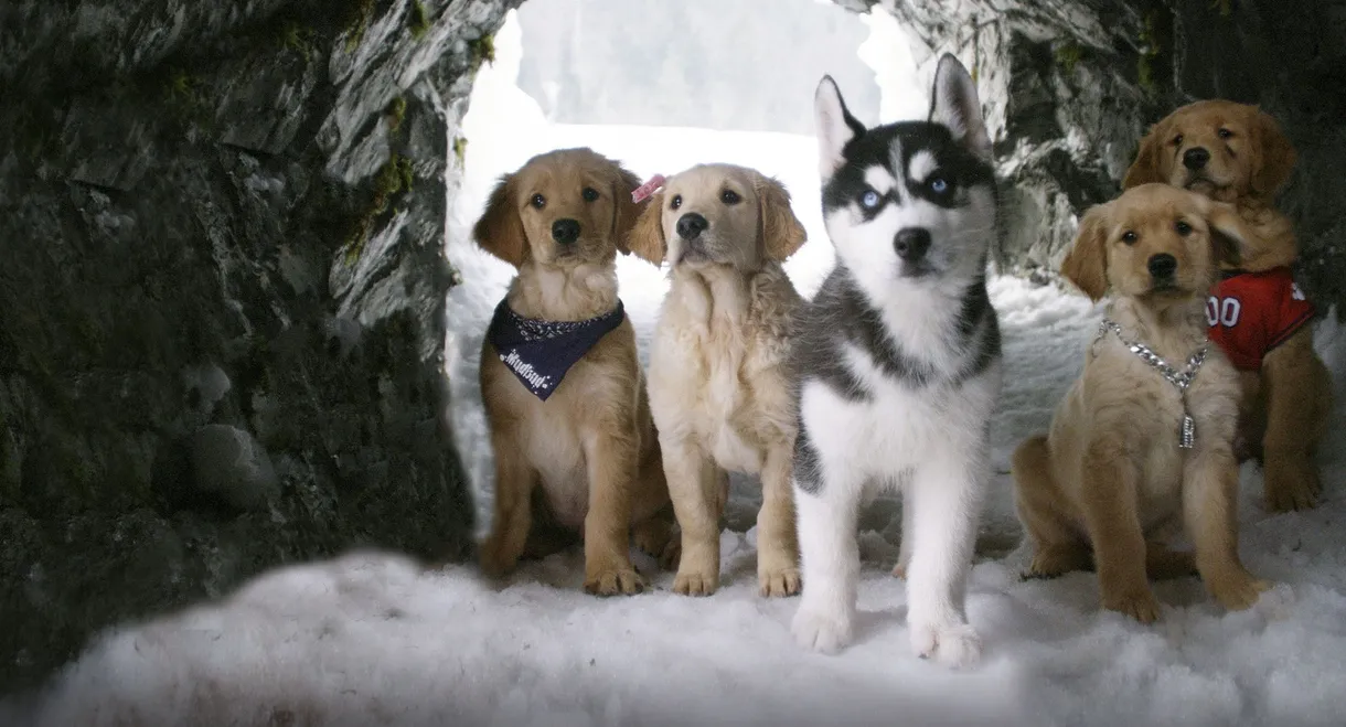 Snow Buddies