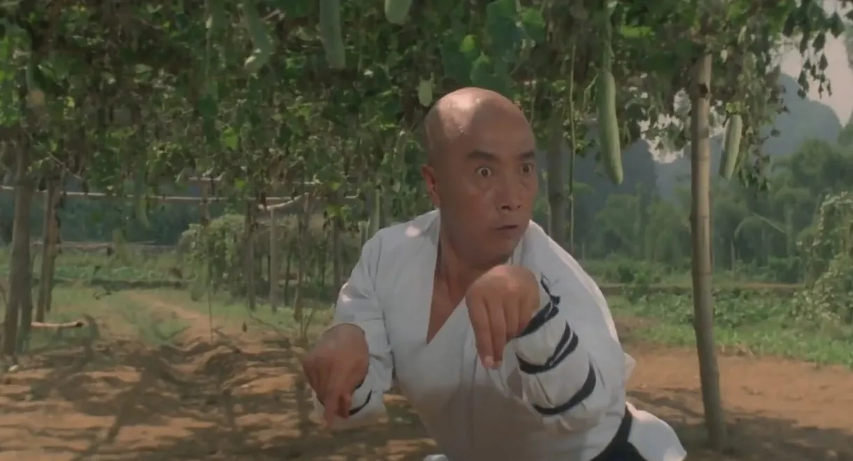 Martial Arts of Shaolin