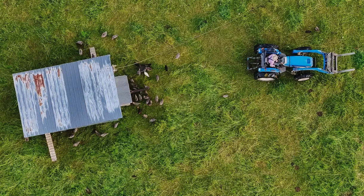 The Lunatic Farmer