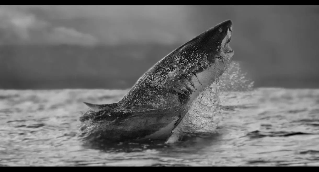 Air Jaws Strikes Back