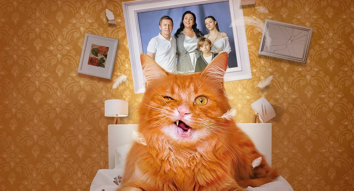 Cat-astrophe