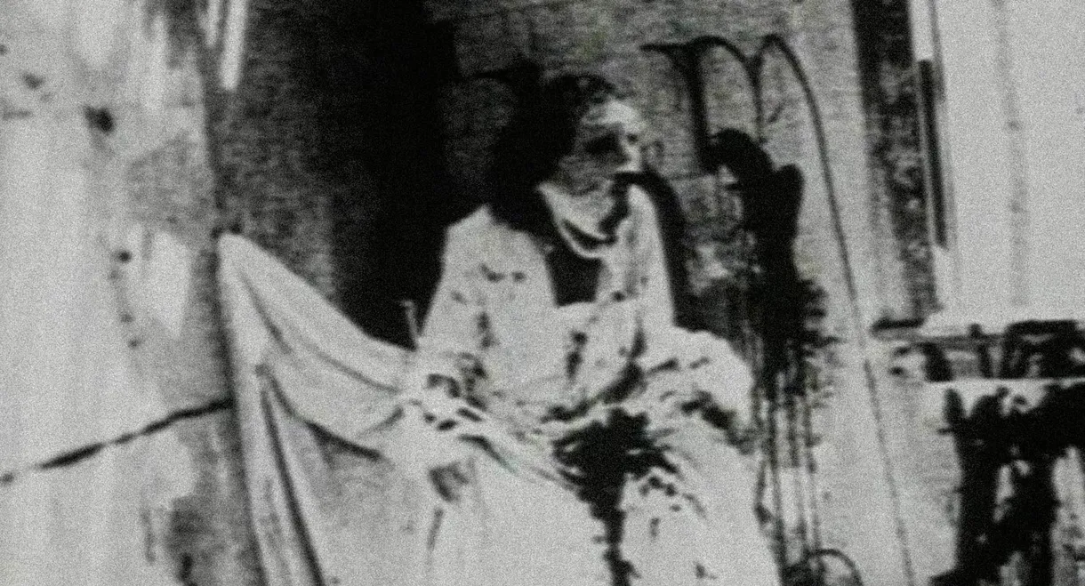 Begotten