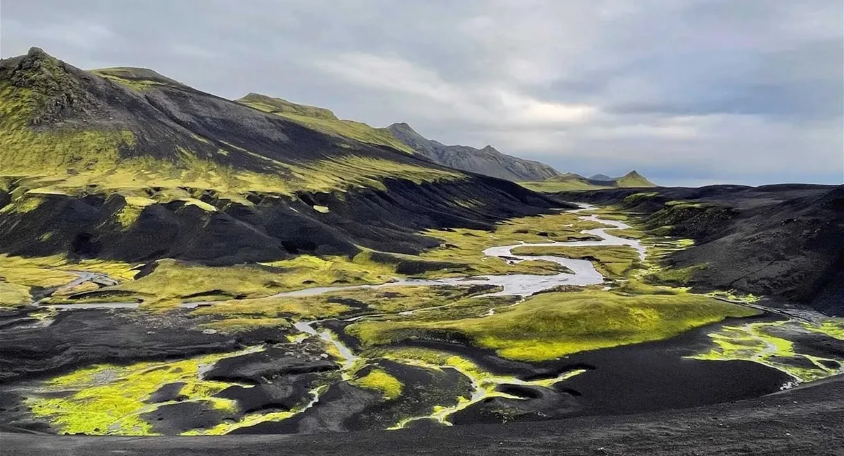 Iceland: The Quest for Origins