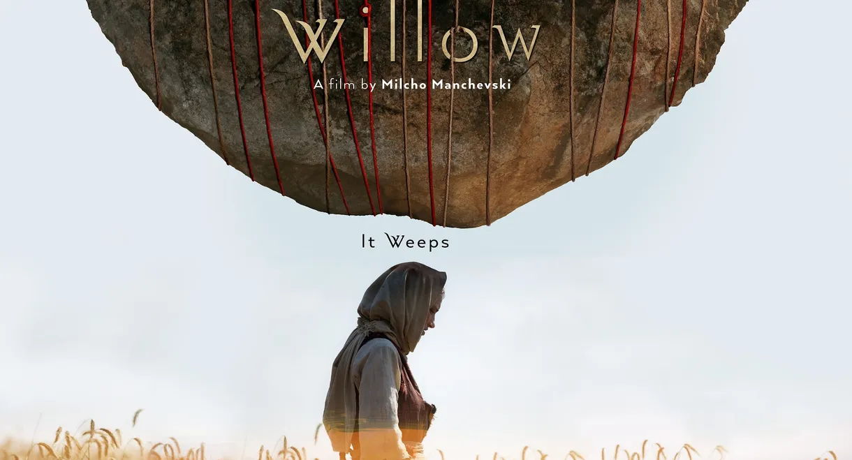 Willow