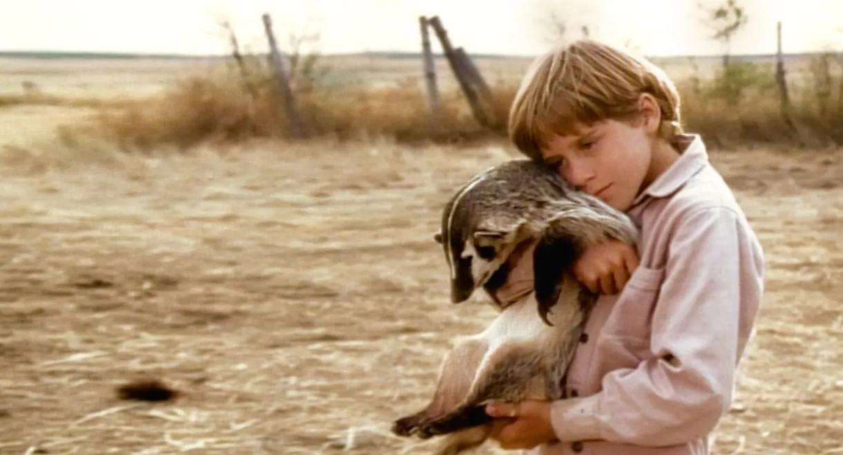 The Boy Who Talked to Badgers