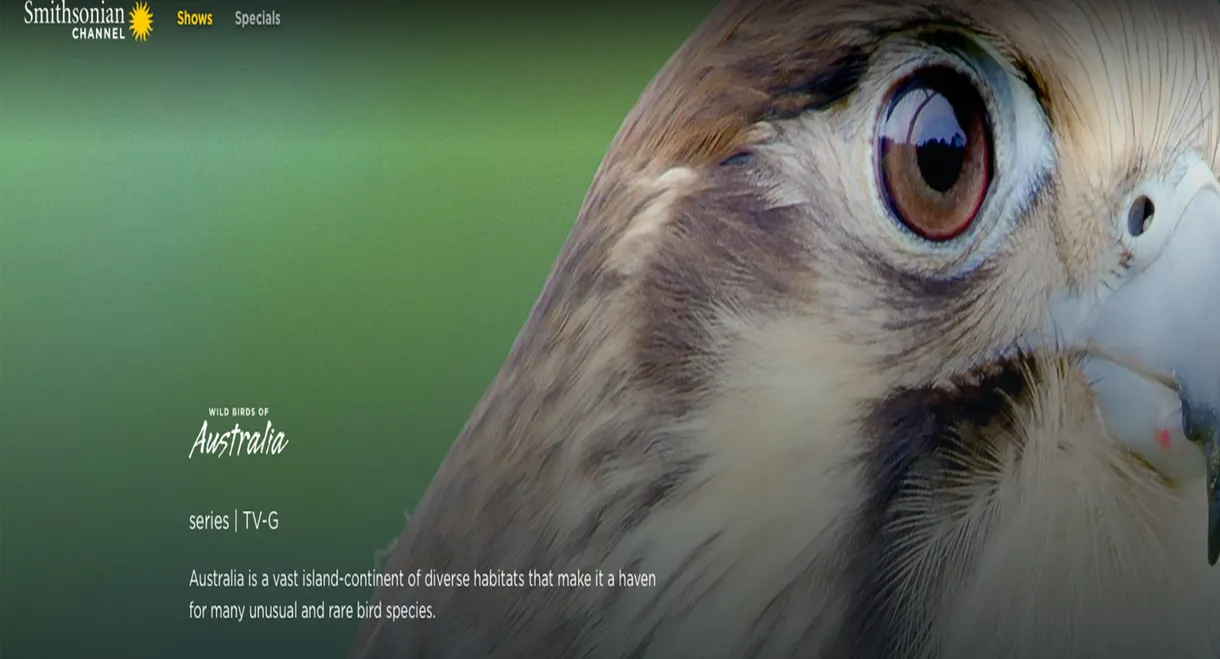 Wild Birds of Australia