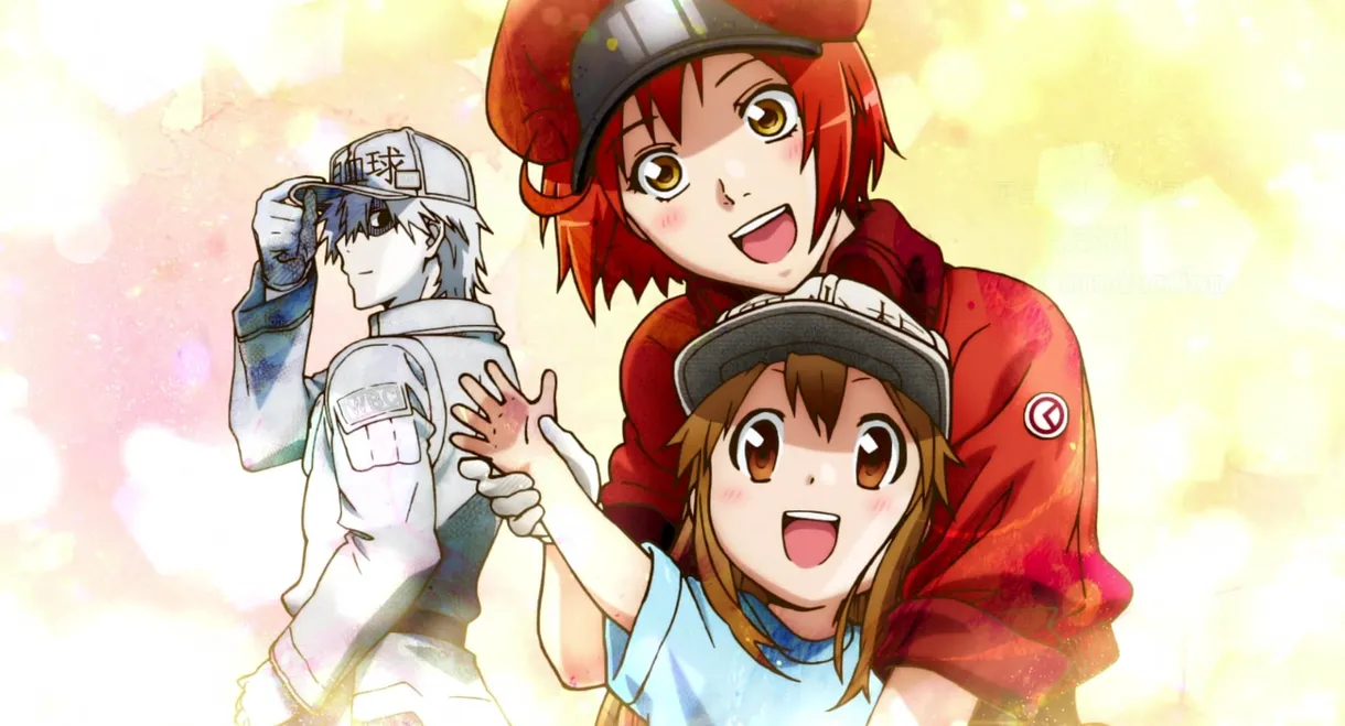 Cells at Work!