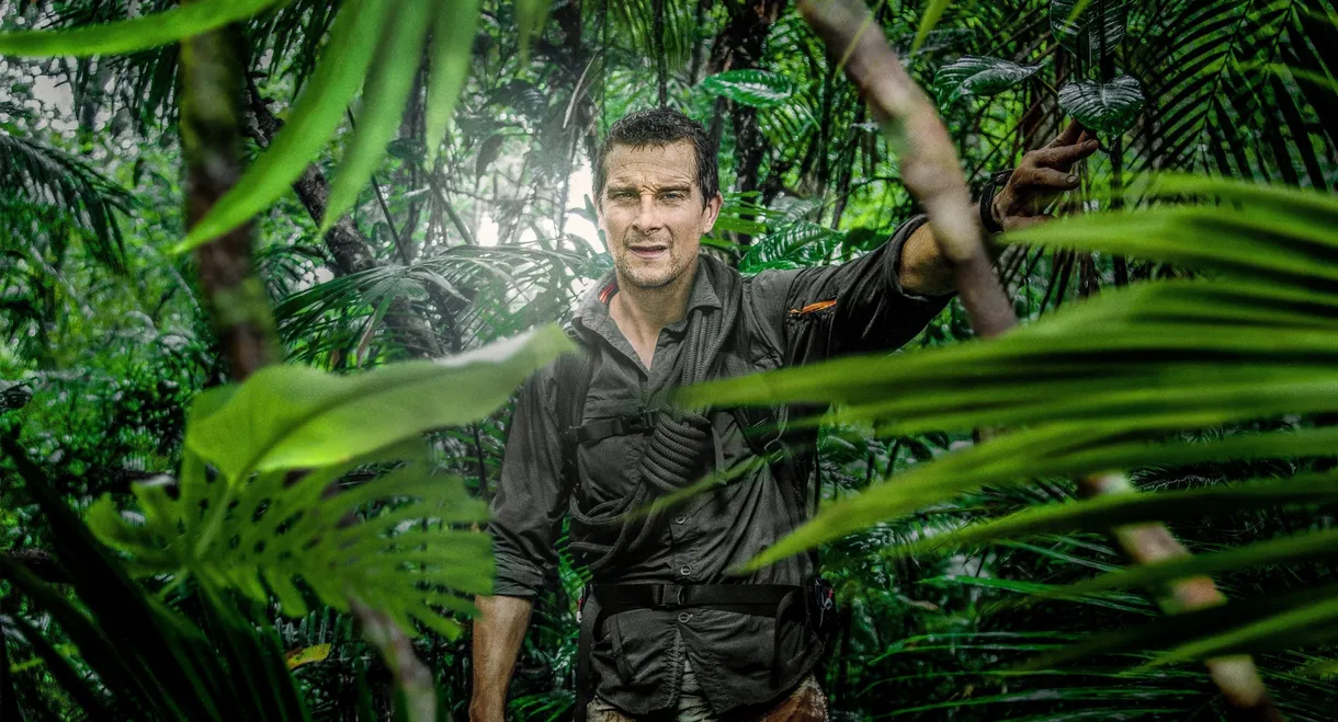 Running Wild with Bear Grylls