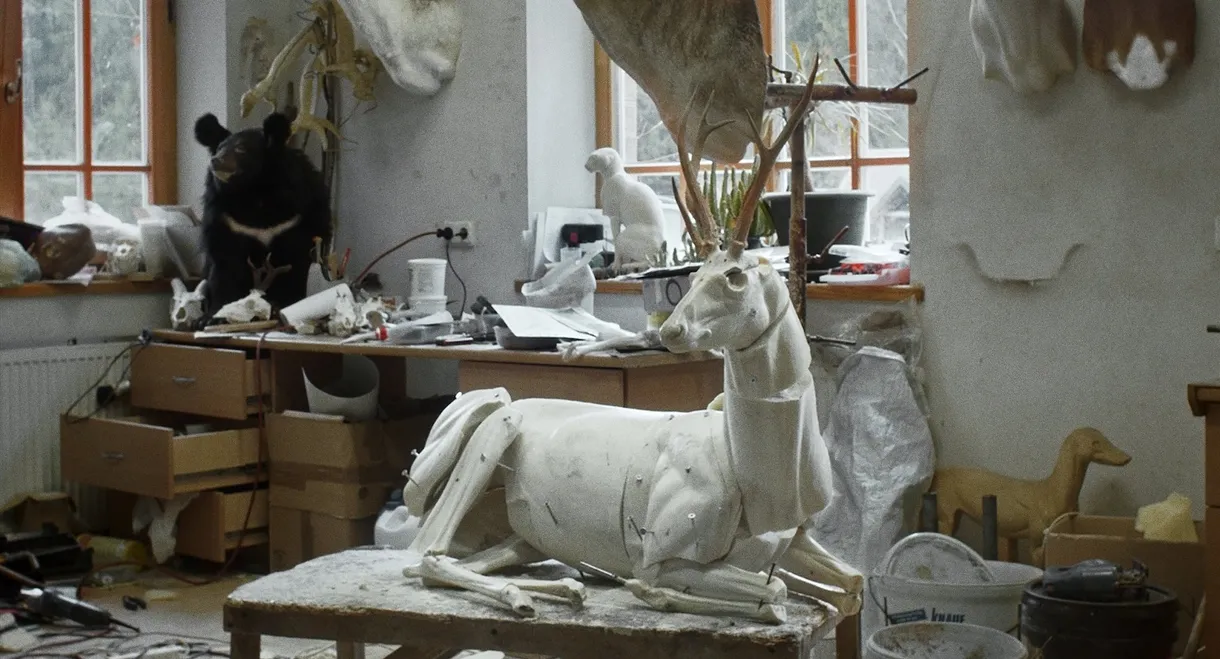 Animus Animalis (A Story about People, Animals and Things)