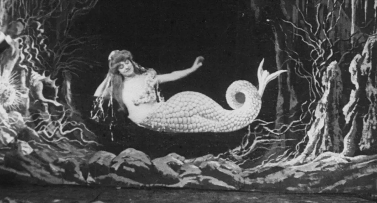 The Mermaid