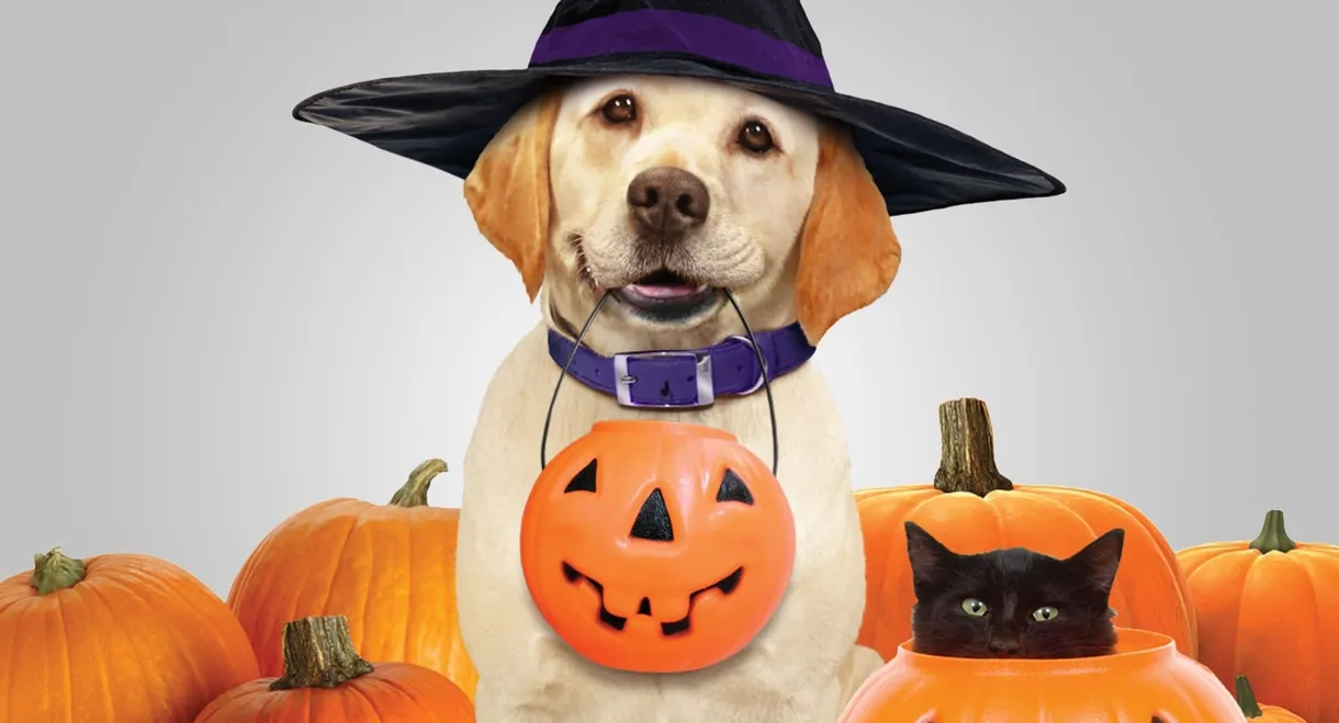 The Dog Who Saved Halloween