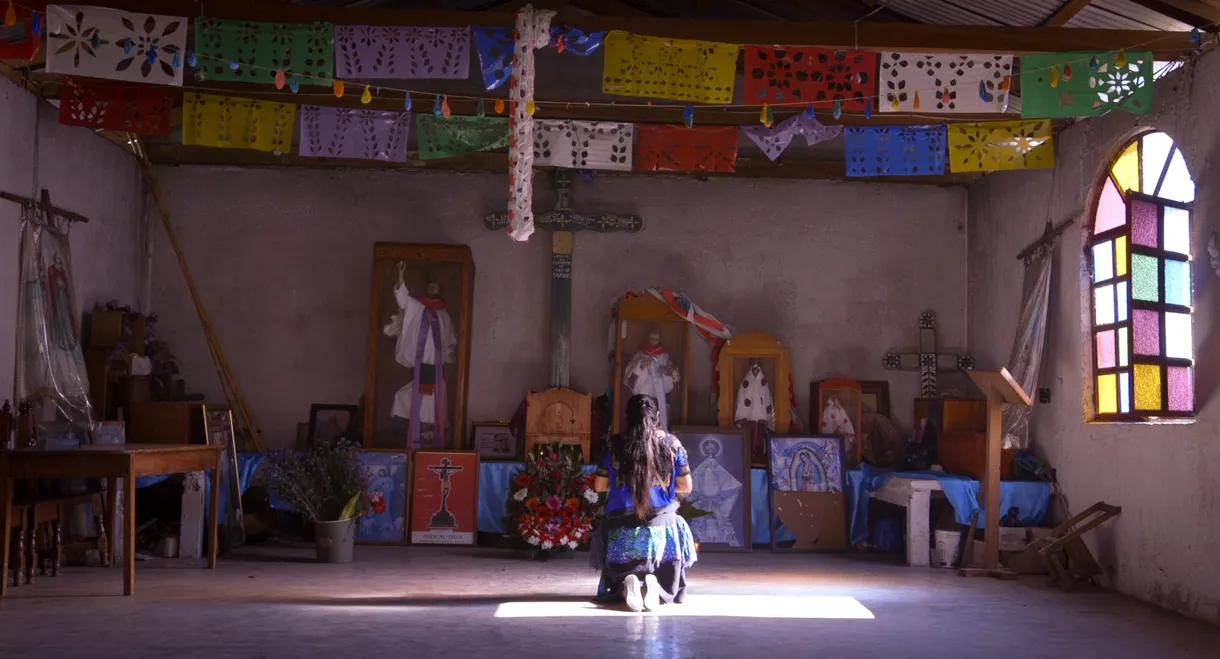 Lupita