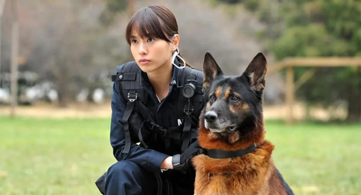 Dog × Police: The K-9 Force