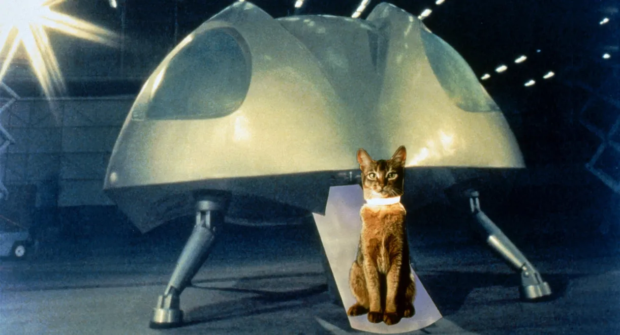 The Cat from Outer Space