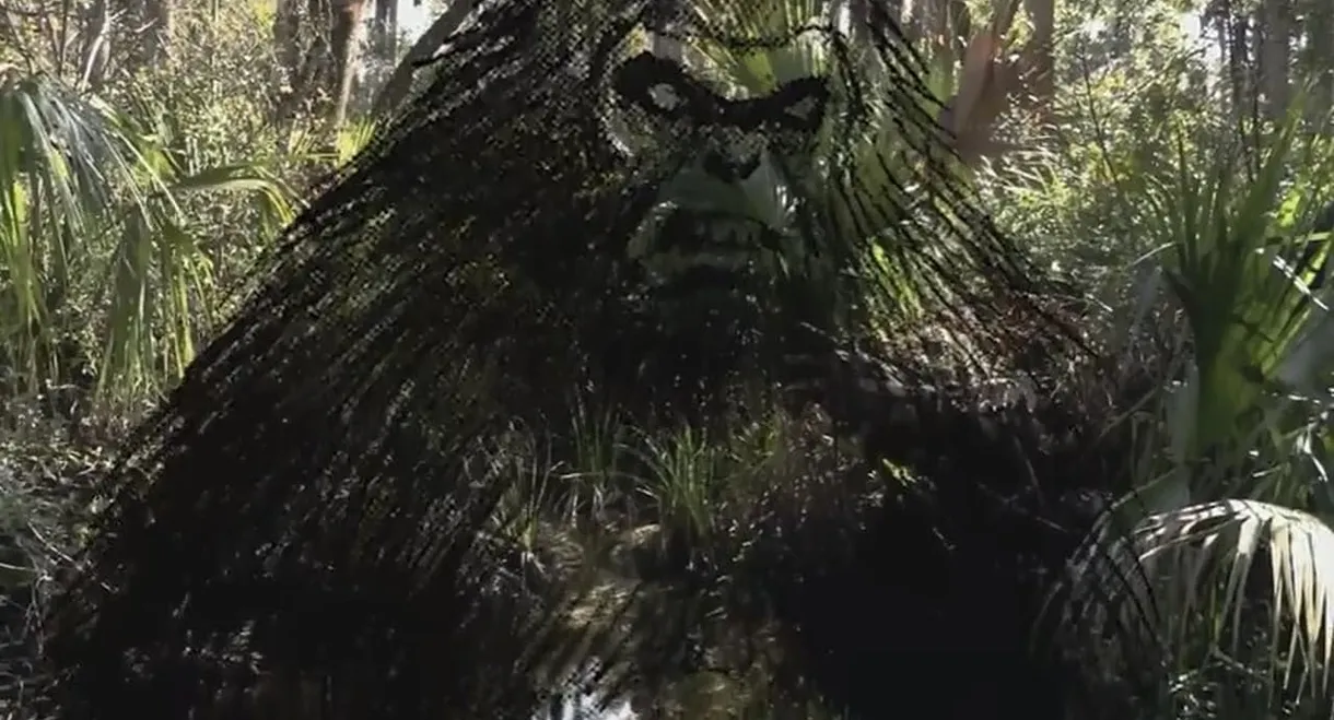 The Skunk Ape Lives