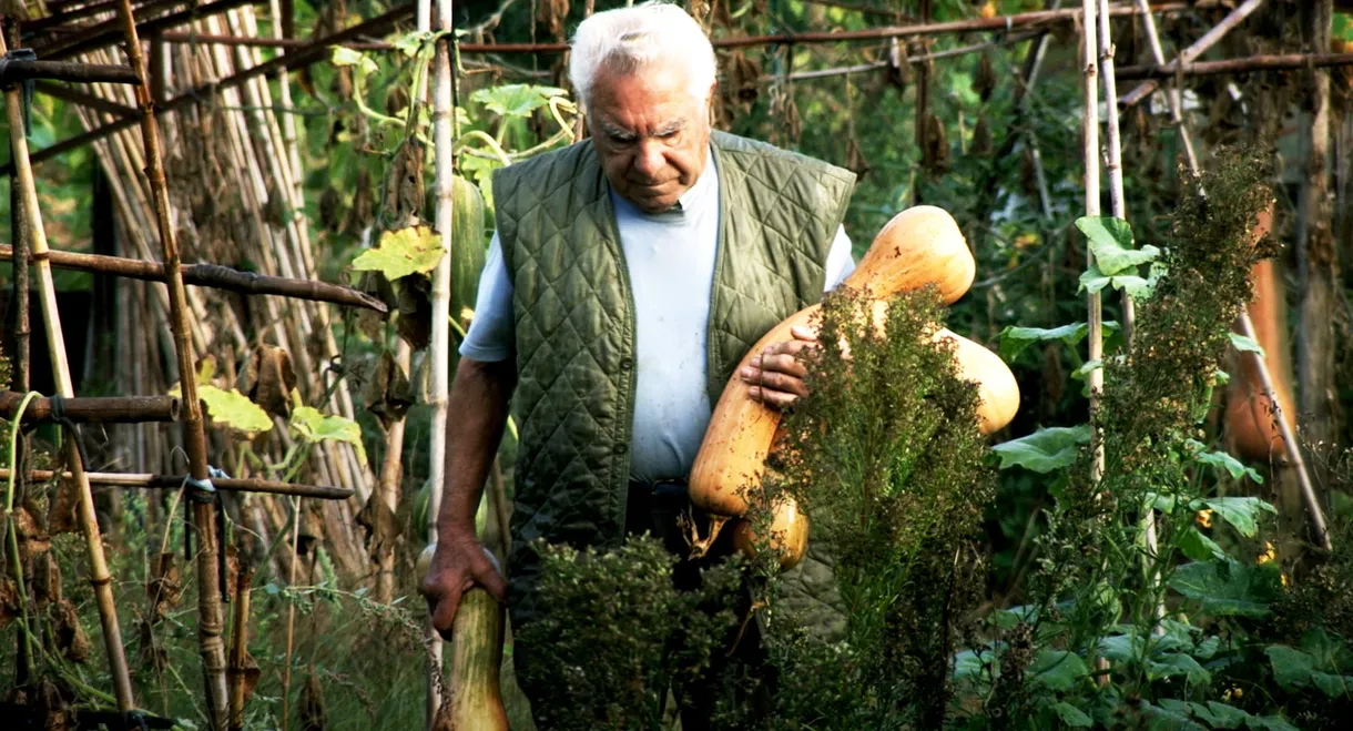 Le potager de mon grand-père